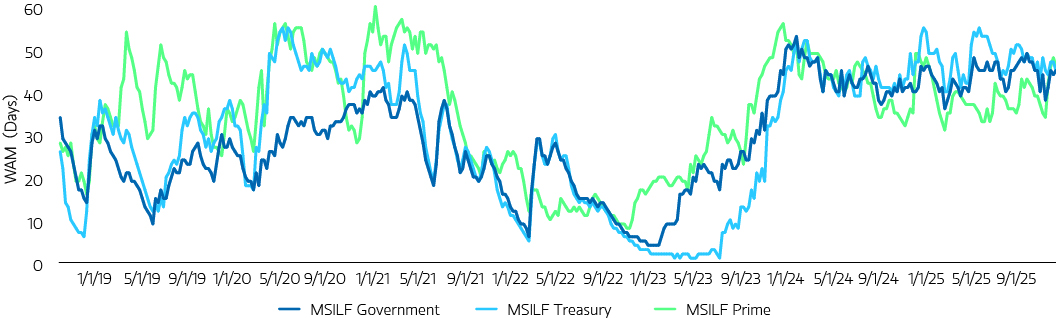 Display2-growingdivergence.jpg