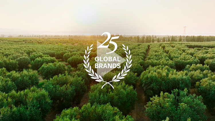 Video Carousel Why Quality Matter image