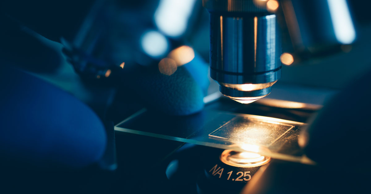 Healthcare's Next Growth Drivers: M&A, Innovation and AI