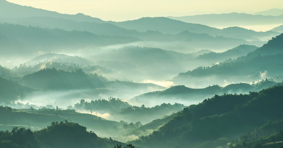 Sustainable Investing Outlook