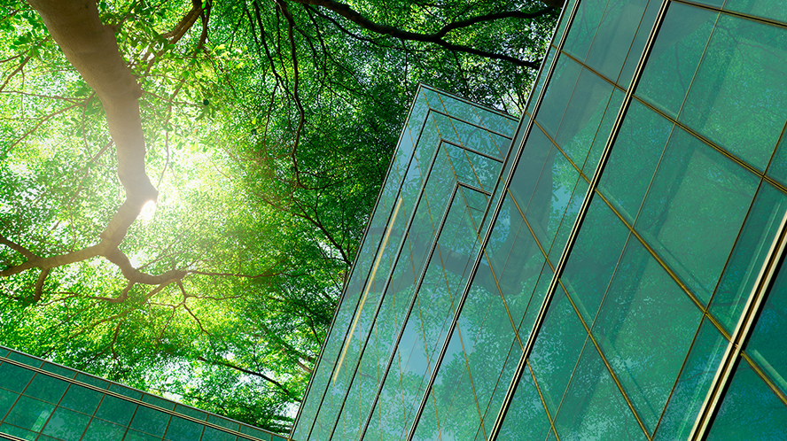 Individual Investor Interest in Sustainability is on the Rise