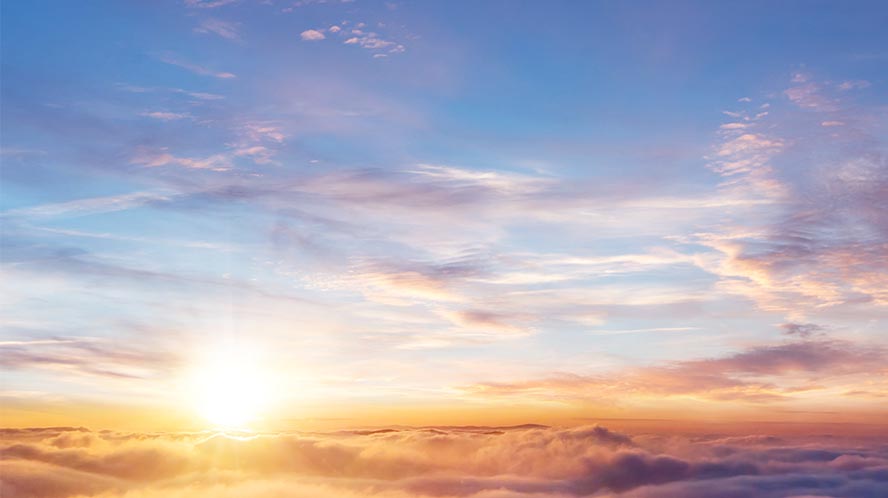 2024 Midyear Outlooks