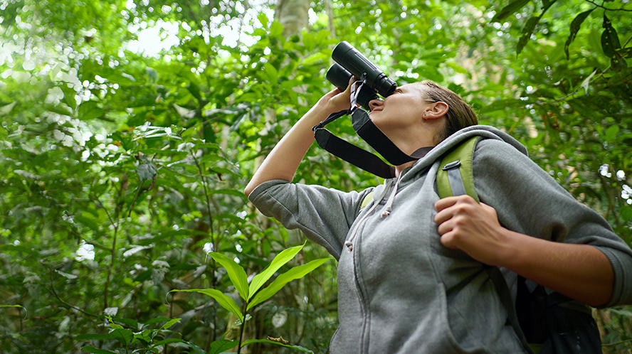 Think Beyond the Fed’s Moves    