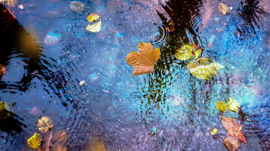 Why Are Treasury Yields Falling?